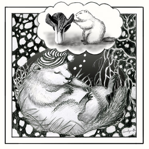 Woodchuck Dreams